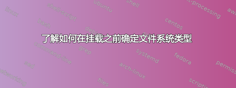 了解如何在挂载之前确定文件系统类型