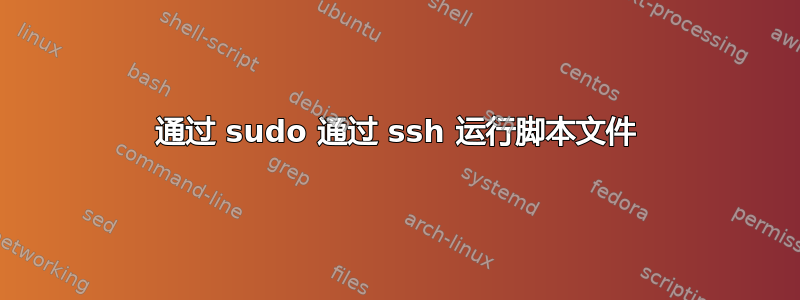 通过 sudo 通过 ssh 运行脚本文件