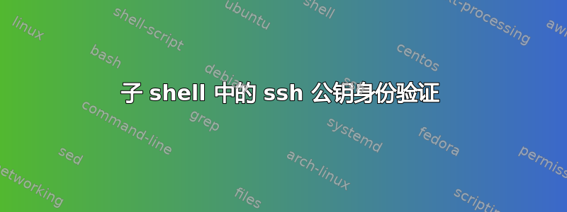 子 shell 中的 ssh 公钥身份验证