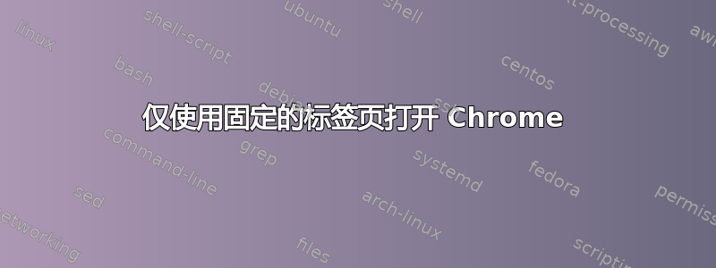 仅使用固定的标签页打开 Chrome