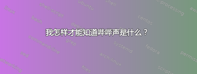 我怎样才能知道哔哔声是什么？