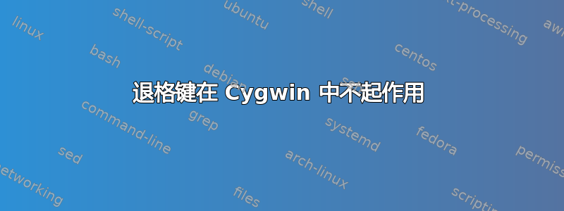 退格键在 Cygwin 中不起作用