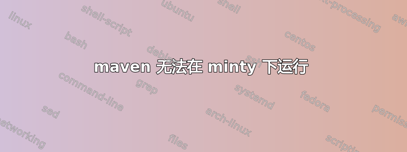 maven 无法在 minty 下运行