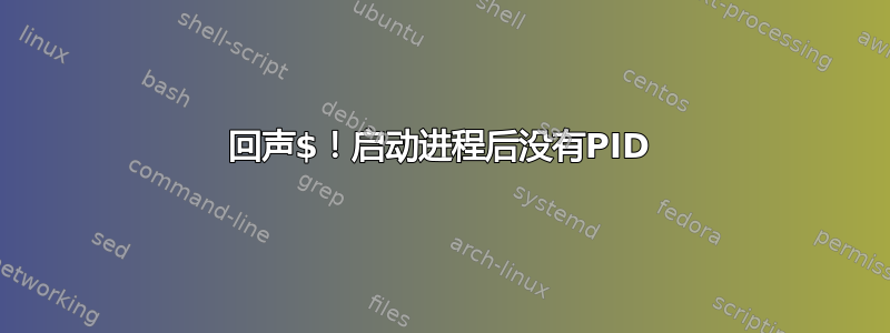 回声$！启动进程后没有PID