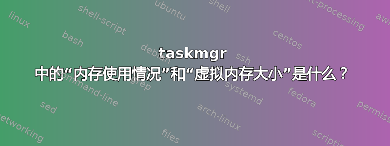 taskmgr 中的“内存使用情况”和“虚拟内存大小”是什么？