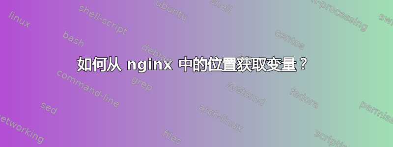 如何从 nginx 中的位置获取变量？