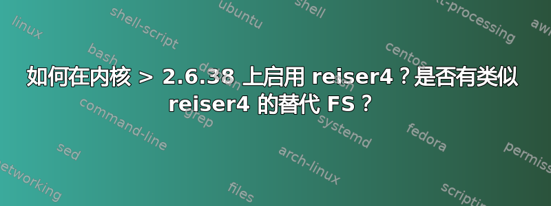 如何在内核 > 2.6.38 上启用 reiser4？是否有类似 reiser4 的替代 FS？