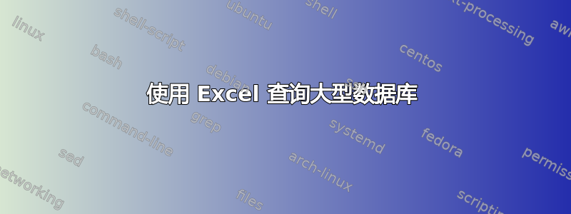 使用 Excel 查询大型数据库