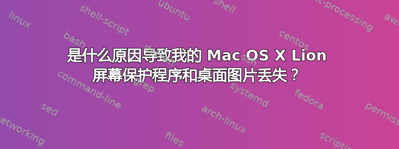 是什么原因导致我的 Mac OS X Lion 屏幕保护程序和桌面图片丢失？