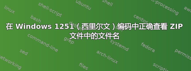 在 Windows 1251（西里尔文）编码中正确查看 ZIP 文件中的文件名