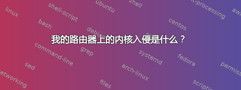 我的路由器上的内核入侵是什么？