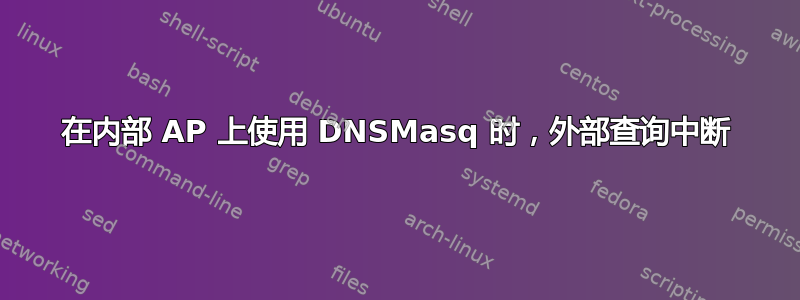 在内部 AP 上使用 DNSMasq 时，外部查询中断