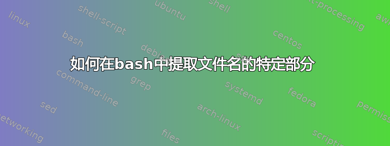 如何在bash中提取文件名的特定部分