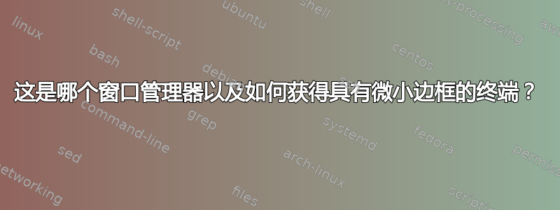 这是哪个窗口管理器以及如何获得具有微小边框的终端？