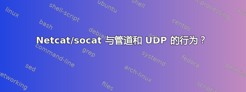 Netcat/socat 与管道和 UDP 的行为？