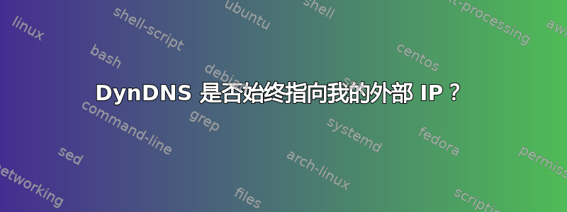 DynDNS 是否始终指向我的外部 IP？