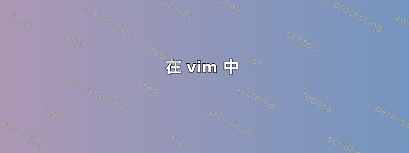 在 vim 中