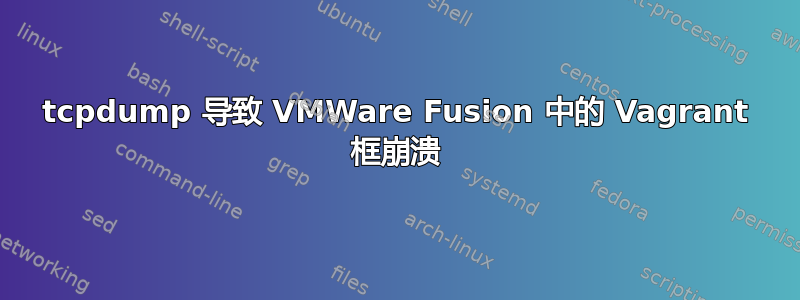 tcpdump 导致 VMWare Fusion 中的 Vagrant 框崩溃