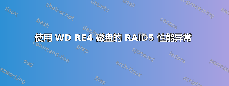 使用 WD RE4 磁盘的 RAID5 性能异常