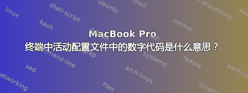 MacBook Pro 终端中活动配置文件中的数字代码是什么意思？