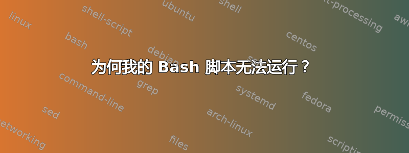 为何我的 Bash 脚本无法运行？