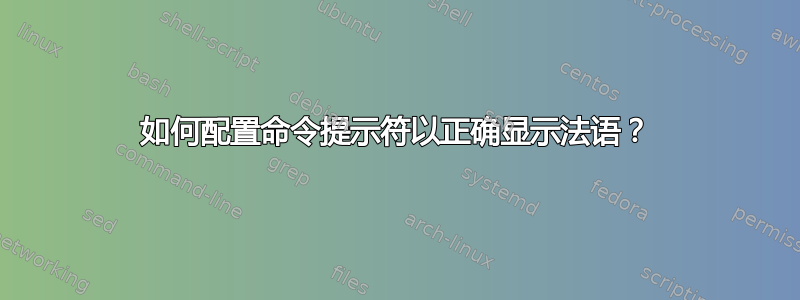 如何配置命令提示符以正确显示法语？