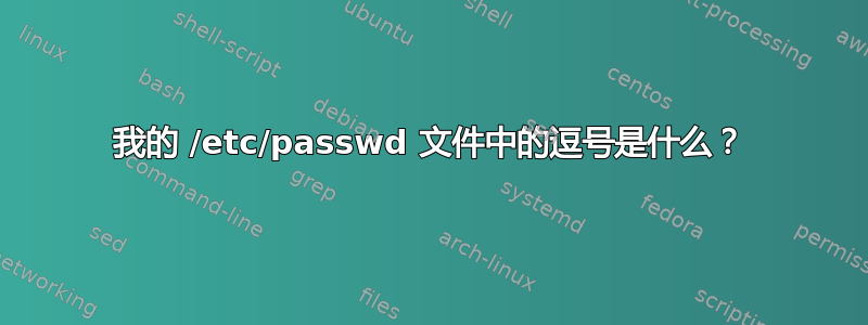 我的 /etc/passwd 文件中的逗号是什么？