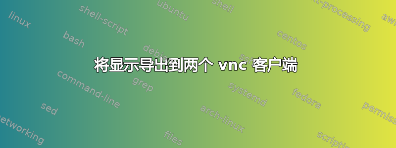 将显示导出到两个 vnc 客户端