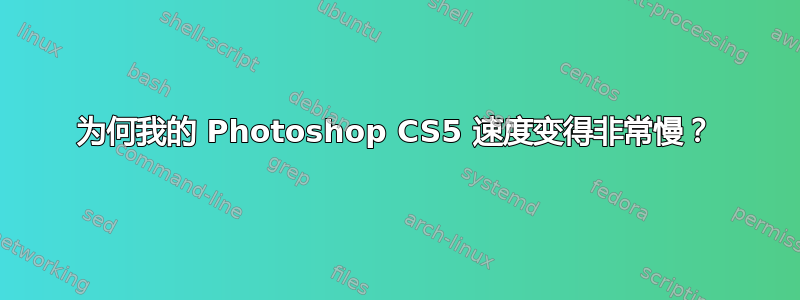 为何我的 Photoshop CS5 速度变得非常慢？