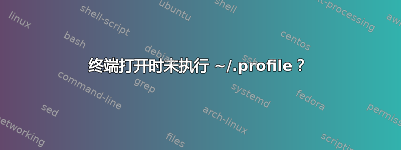 终端打开时未执行 ~/.profile？