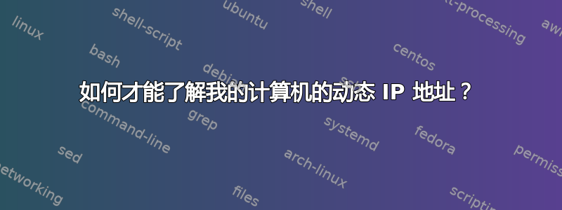 如何才能了解我的计算机的动态 IP 地址？