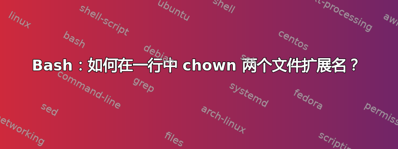 Bash：如何在一行中 chown 两个文件扩展名？