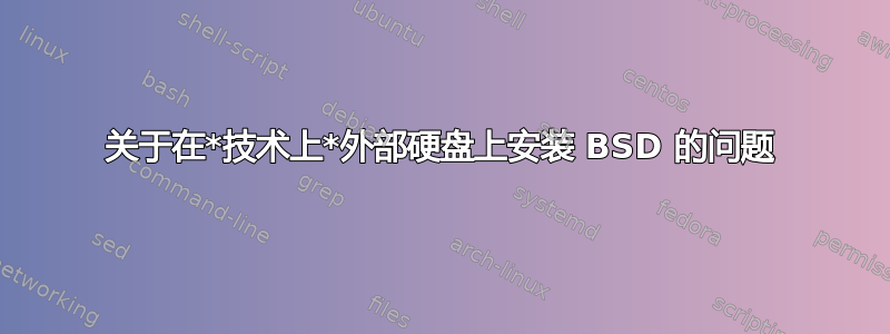 关于在*技术上*外部硬盘上安装 BSD 的问题