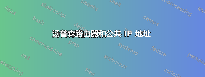 汤普森路由器和公共 IP 地址