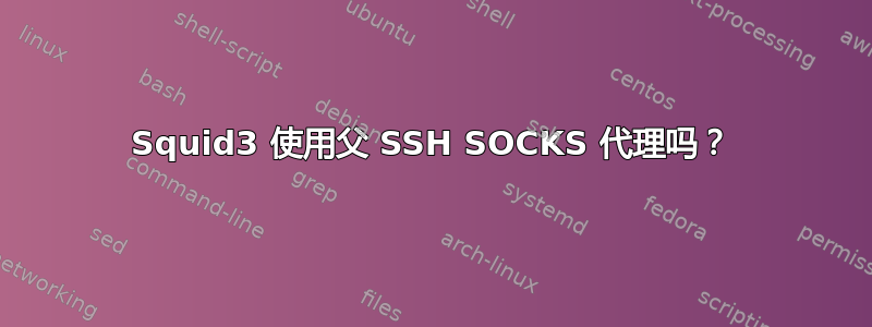 Squid3 使用父 SSH SOCKS 代理吗？