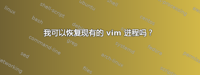 我可以恢复现有的 vim 进程吗？