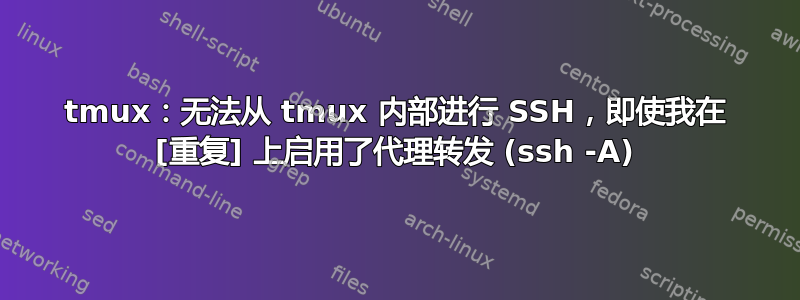 tmux：无法从 tmux 内部进行 SSH，即使我在 [重复] 上启用了代理转发 (ssh -A)