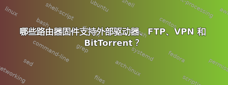 哪些路由器固件支持外部驱动器、FTP、VPN 和 BitTorrent？