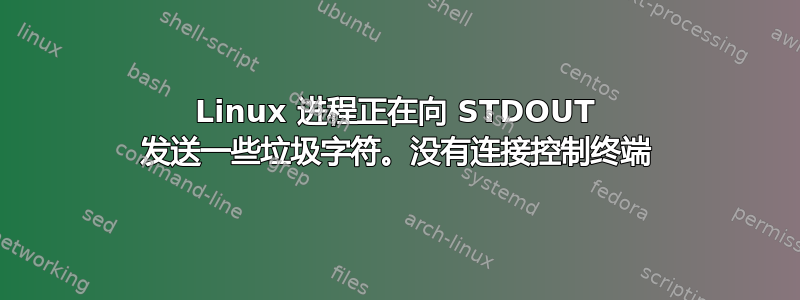 Linux 进程正在向 STDOUT 发送一些垃圾字符。没有连接控制终端