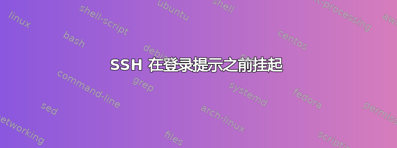 SSH 在登录提示之前挂起