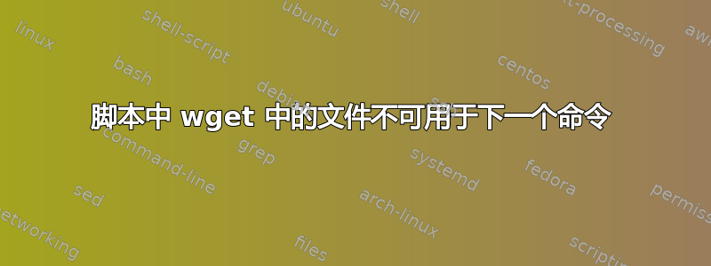 脚本中 wget 中的文件不可用于下一个命令