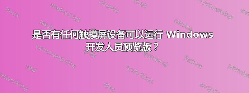 是否有任何触摸屏设备可以运行 Windows 开发人员预览版？