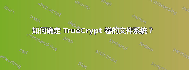 如何确定 TrueCrypt 卷的文件系统？