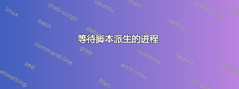 等待脚本派生的进程