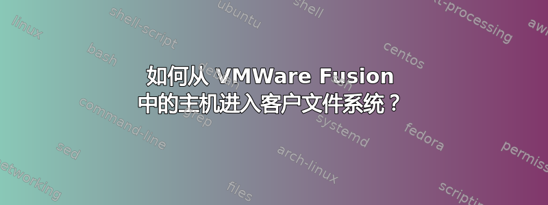 如何从 VMWare Fusion 中的主机进入客户文件系统？