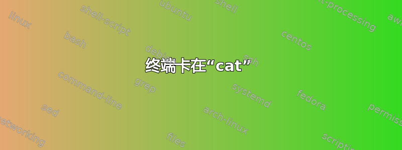 终端卡在“cat”