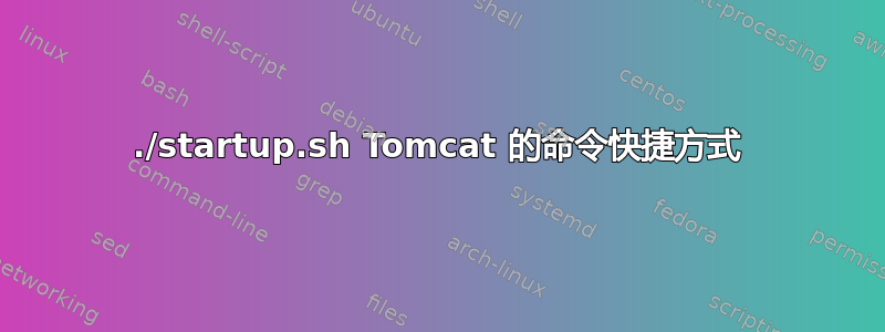 ./startup.sh Tomcat 的命令快捷方式