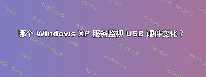 哪个 Windows XP 服务监视 USB 硬件变化？