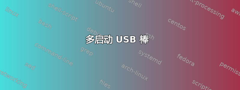 多启动 USB 棒 