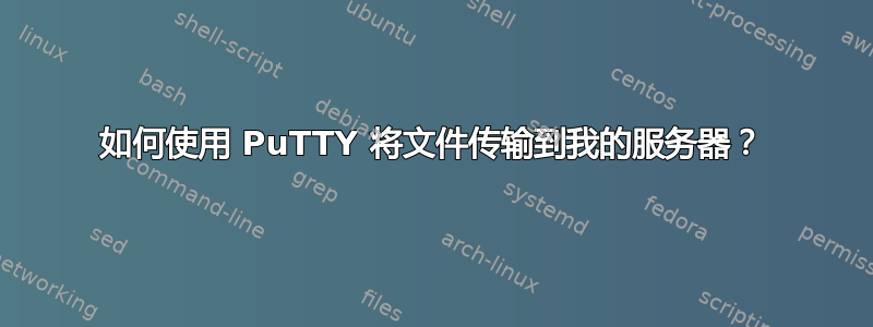 如何使用 PuTTY 将文件传输到我的服务器？